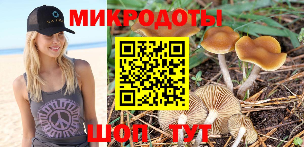 Псилоцибиновые грибы мухоморы Нерюнгри