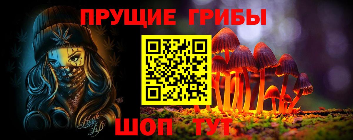 Нерюнгри  Псилоцибиновые грибы прущие грибы  Вход с VPN 